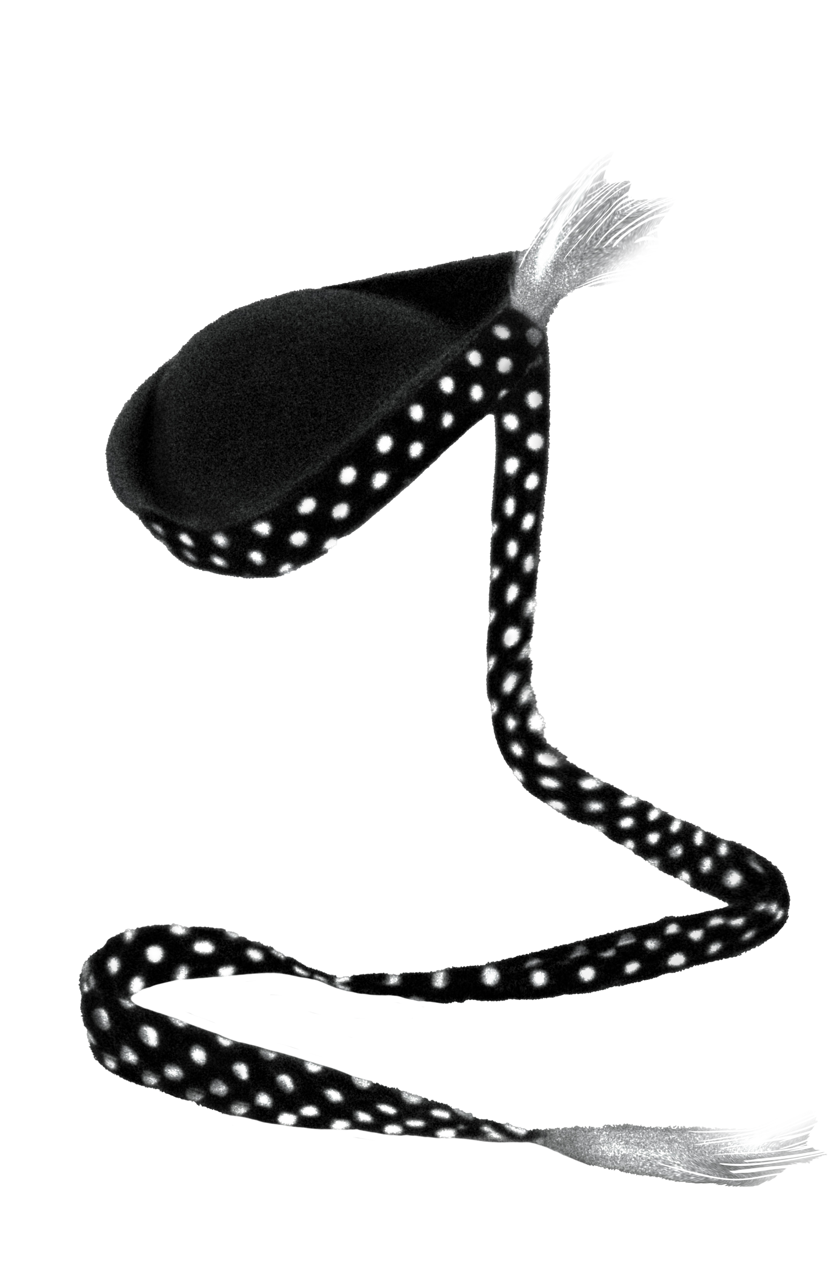 Roman's beret with spotted feather plume